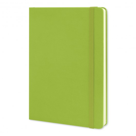 Moleskine Classic Notebooks Large Light Green
